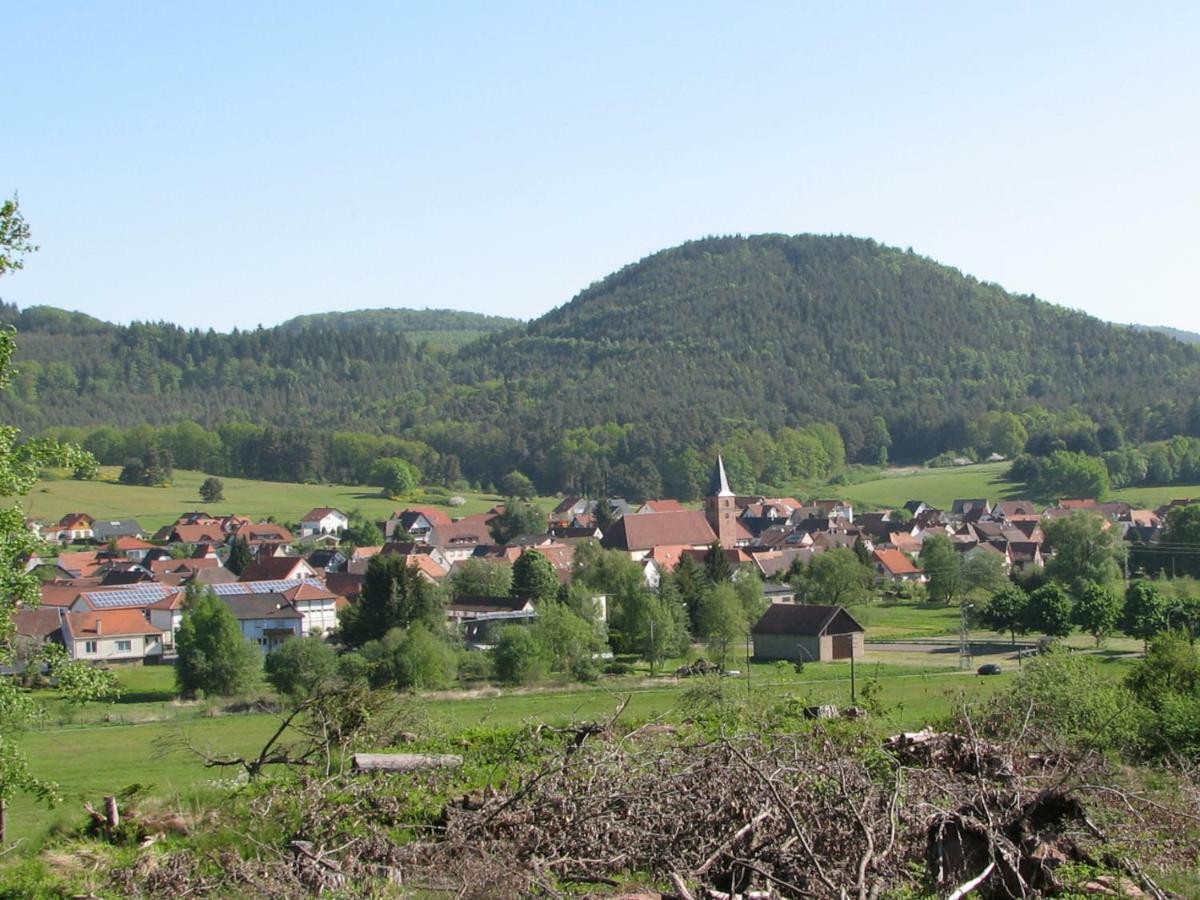 Ferienhaus Zum Haertschd Daire Fischbach Dış mekan fotoğraf